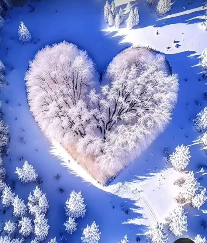 Screenshot_20240211_233707_Pinterest