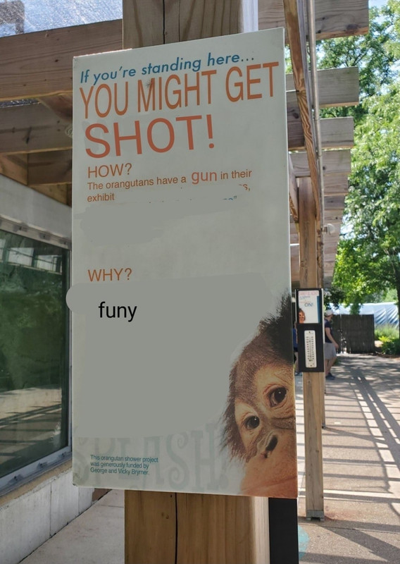 1715819585594163.jpg