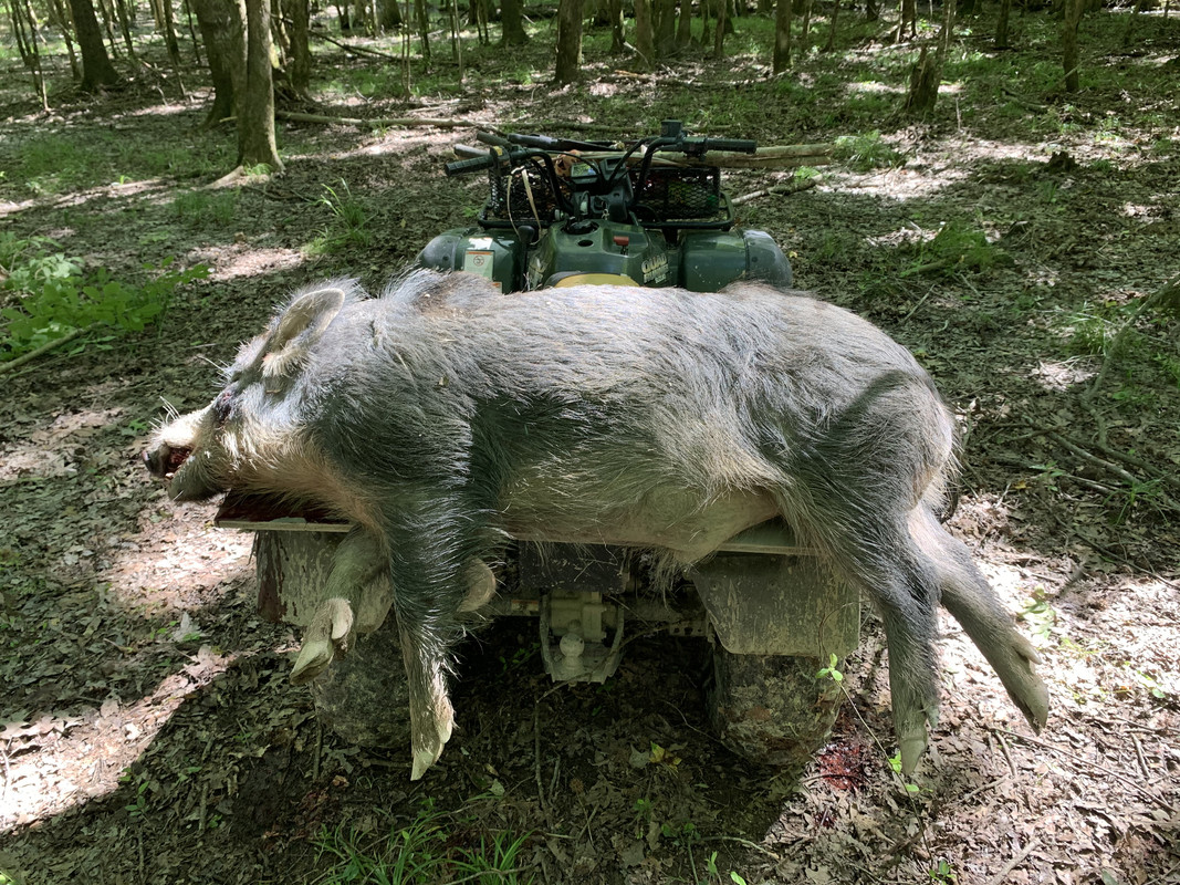 746FFDF6-85B0-43DF-8F96-67D40F7BDB19