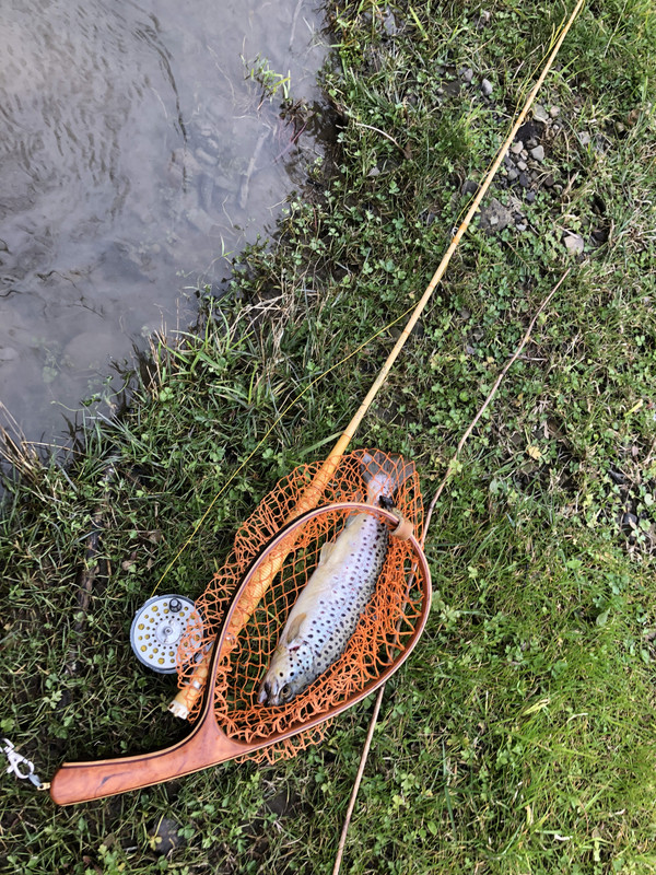 11AFBD6A-0944-463E-B0A1-58B86F3601F1