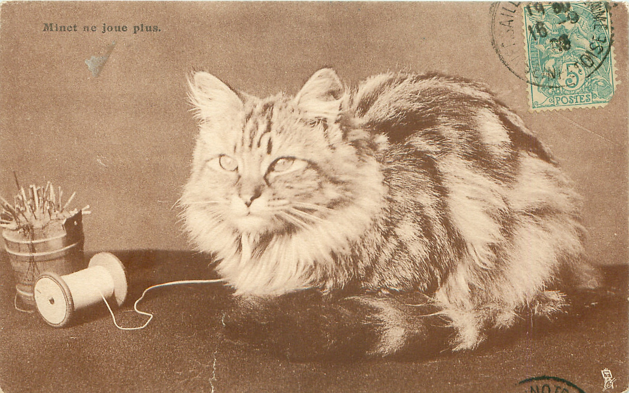 30-2011-07-31-13-31-21