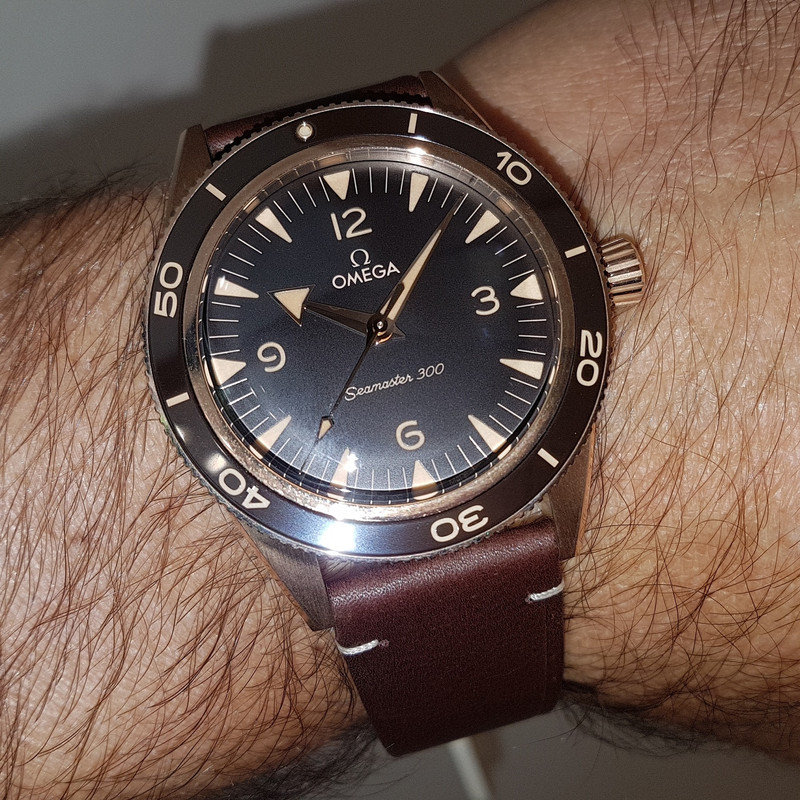 Ω Seamaster 300 Co-Axial Master Chronometer Bronze Gold 41mm Cal. 8912  (1)