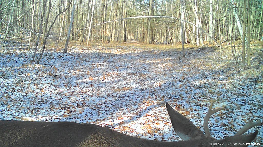 04A25327-9975-4874-97B1-077F199E224D