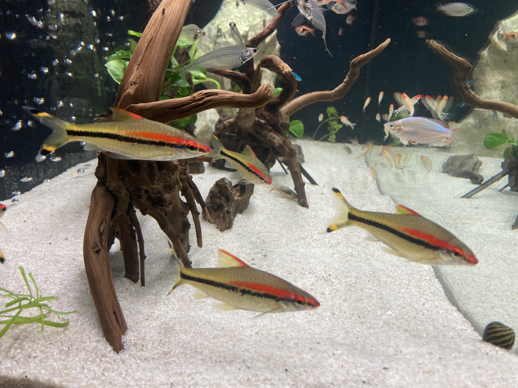 8019CD0C-9B64-444E-81B7-B700C3A7B88A