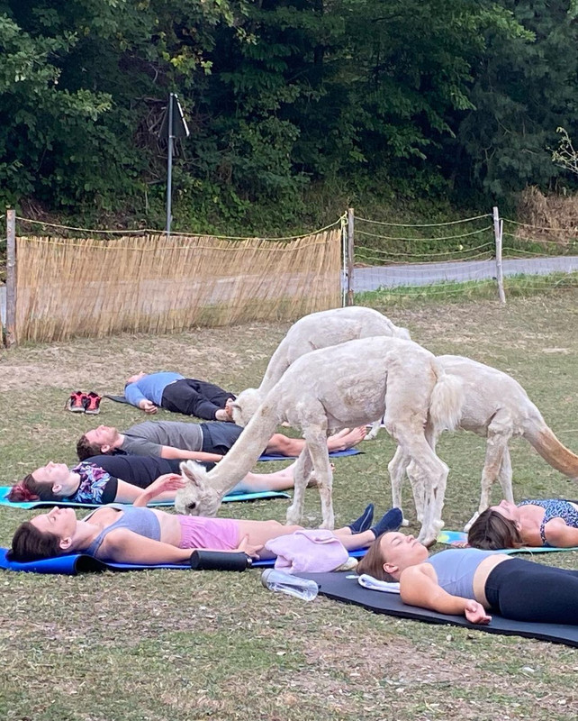 297927811_717904442648534_1247657575347302217_n