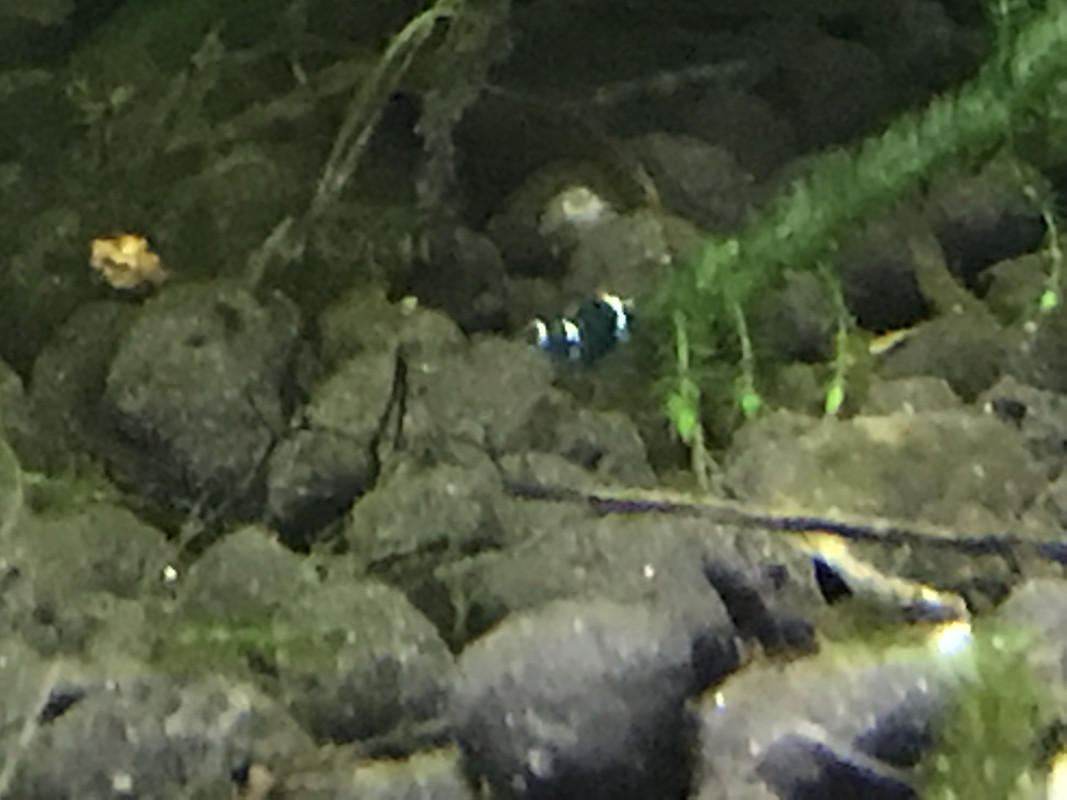 E7165748-4FF2-4FA8-80DC-53CC77863F98