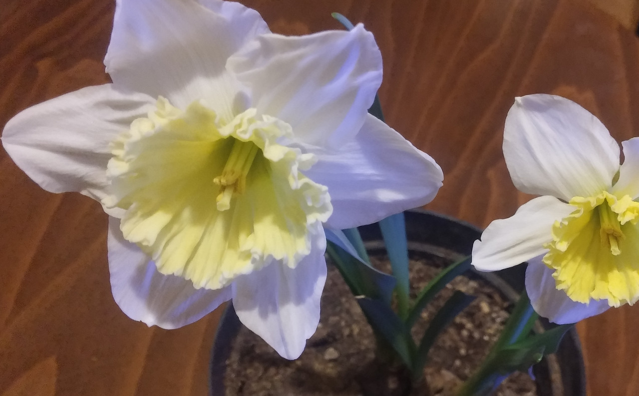 20190207_192916