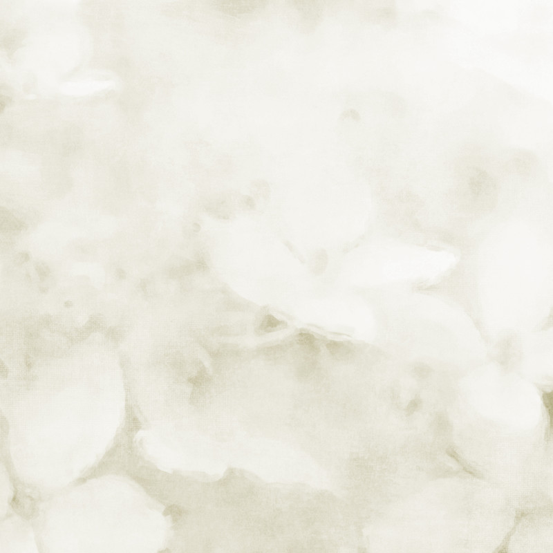 Maguette_NothingFades_pp (9)