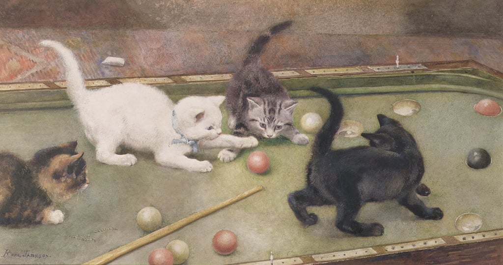 Rosa-Jameson-Bar-Billiards-wc-Meister-Drucke-556423