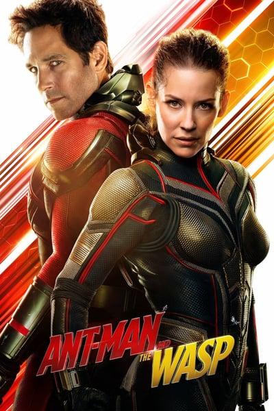 Ant-Man-and-the-Wasp-2018-1080p-Blu-Ray-x264-SPARKSrarbg.jpg