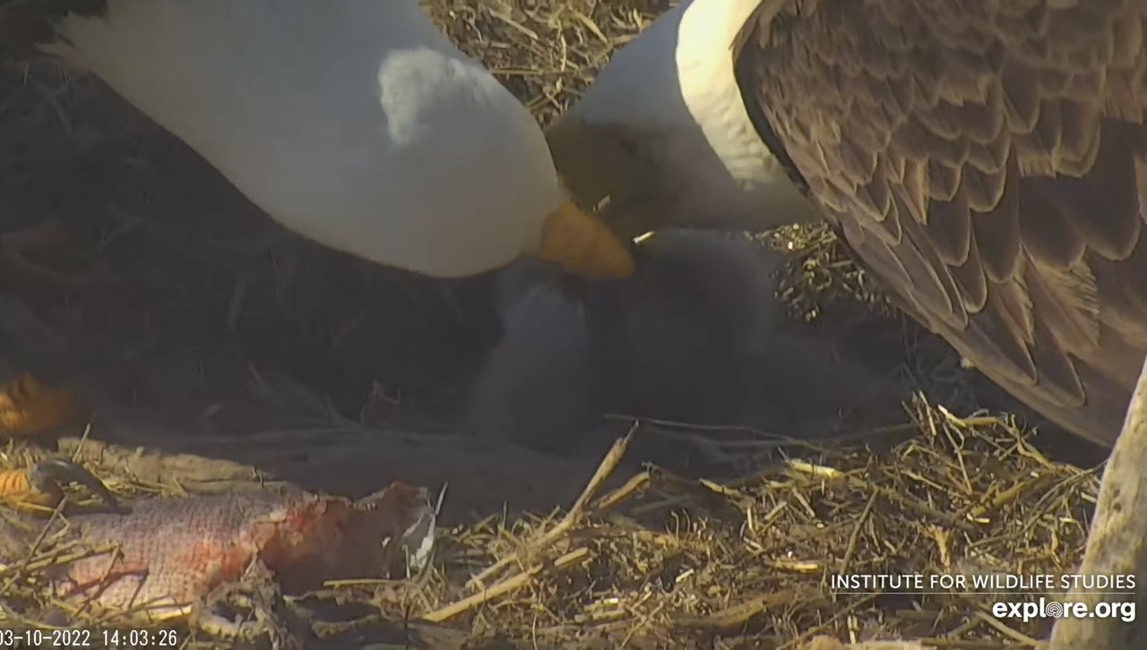 3447C158-4912-4ACC-B801-6A6277D31882