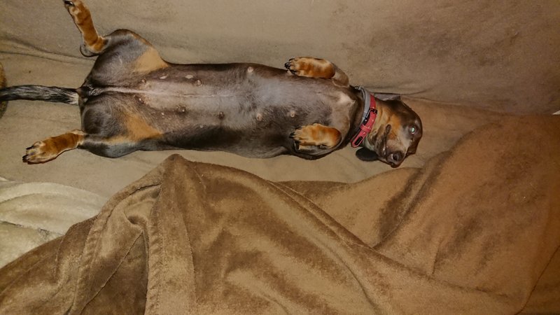 [Image: DSC-3502.jpg]