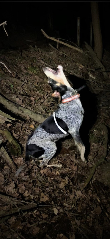 Resized_IMG_4520 (1)