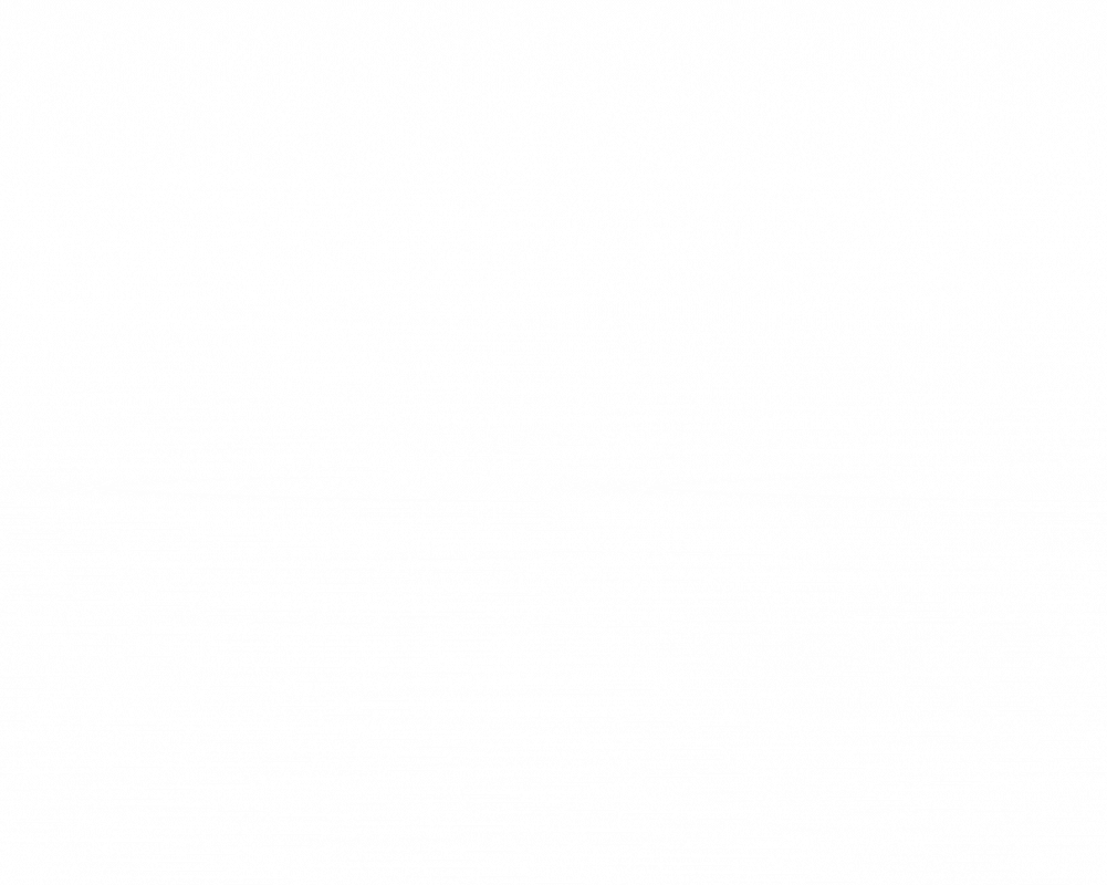 SSRP-2.gif