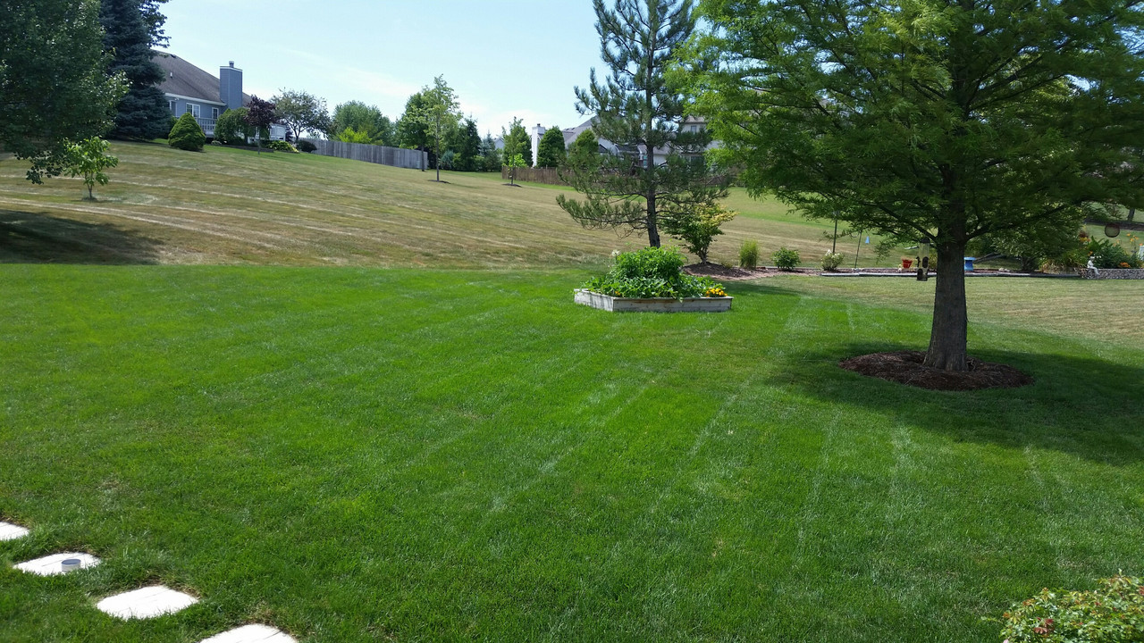 20160714_145528_1468522670428_resized