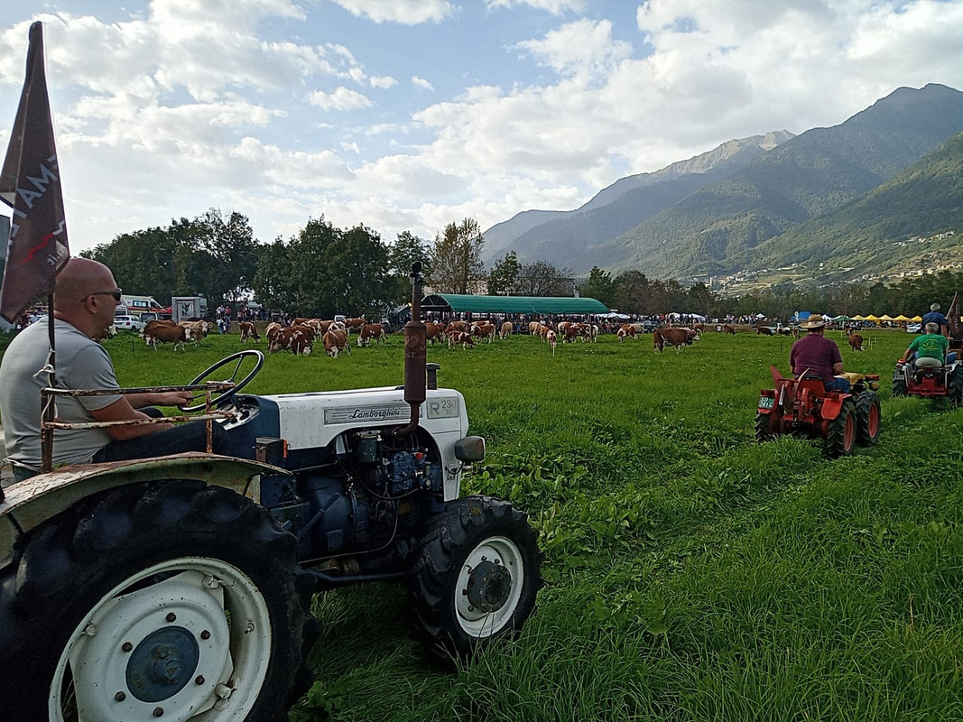 Scargaamuut 2023 (24)