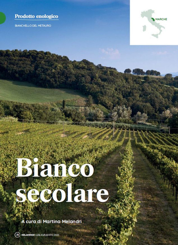 melaverde Lug 2022 (11)