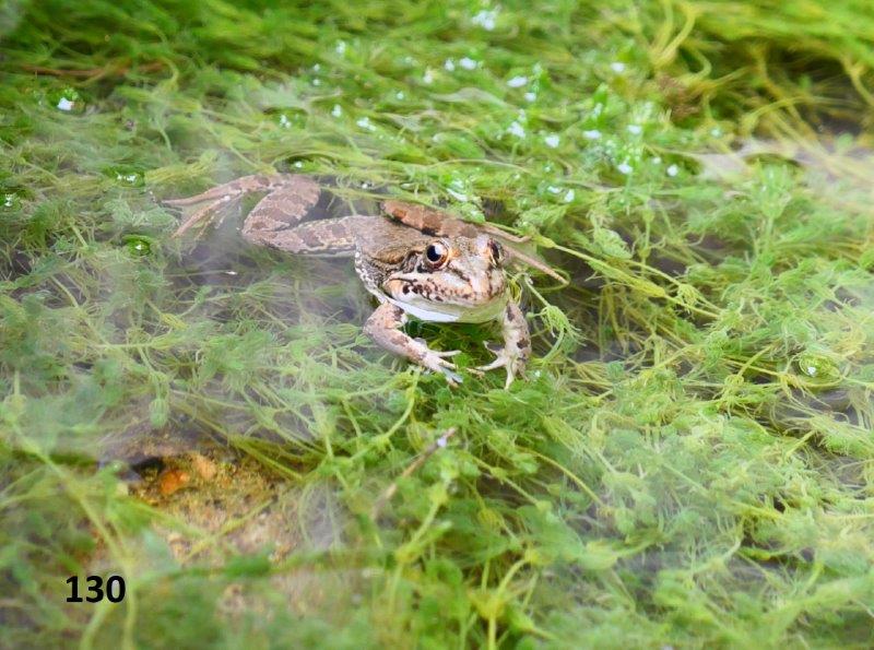 130 inbound194004331489621973