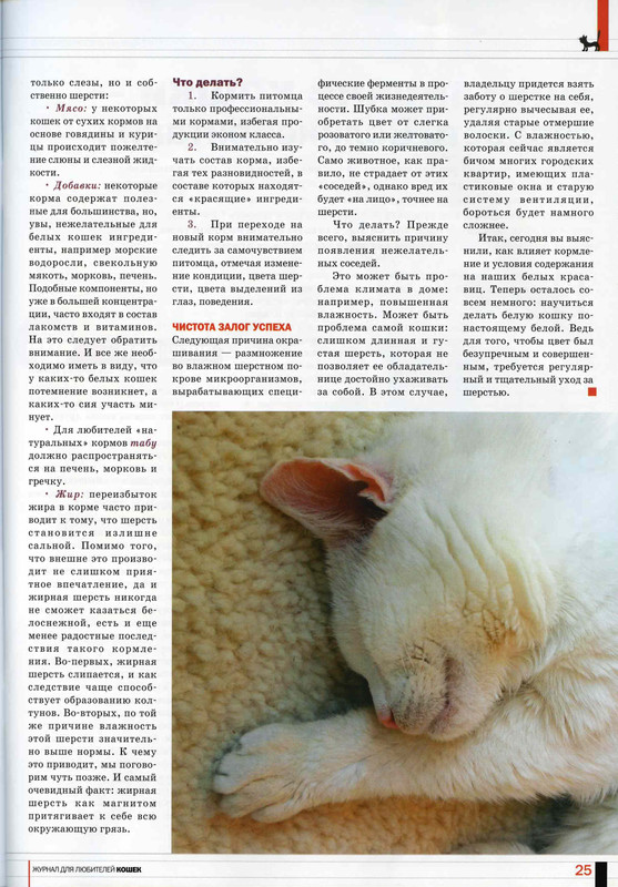 Друг кошек № 7 2010-26