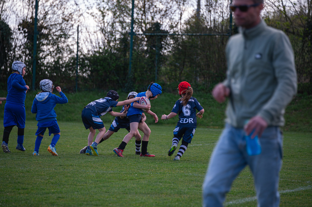 tournoi-de-latlantique-2026-adonis-griffon-88-55181457238-l