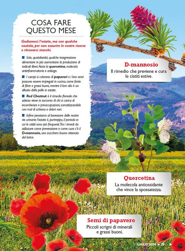 Sal Nat  Lug 2024 (2)