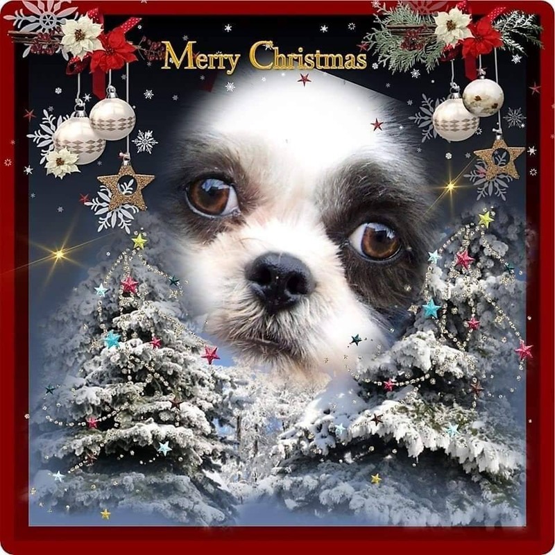 596002973-4424503267822785-1055262098876486880-n