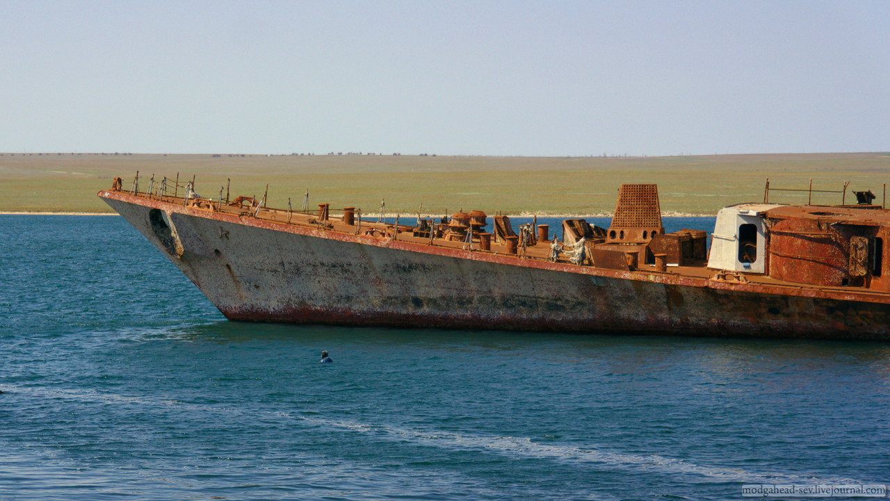 SAM_2184_full_v2(6000)