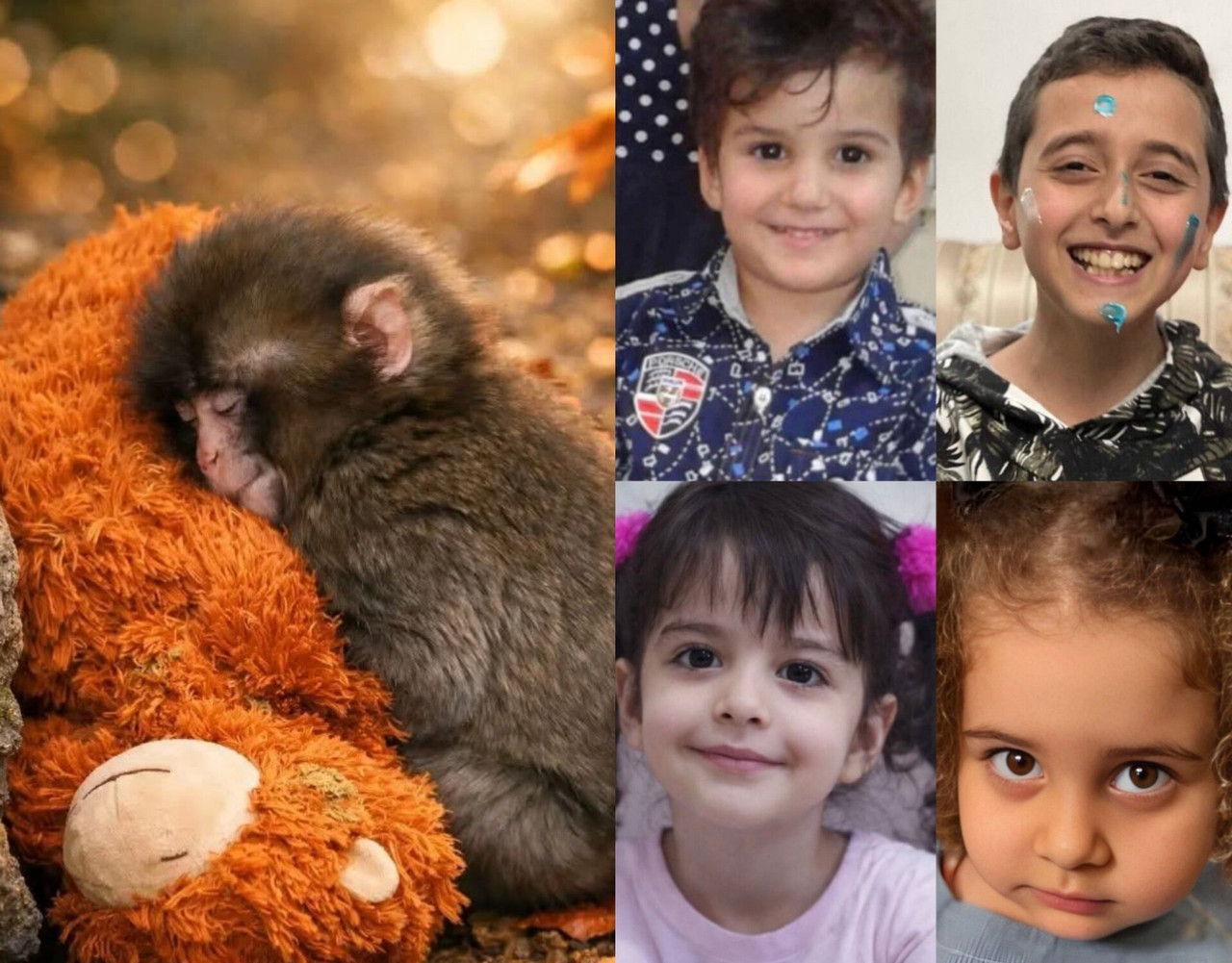 ۲۰۲۶۰۲۲۱ ۱۴۵۸۱۷