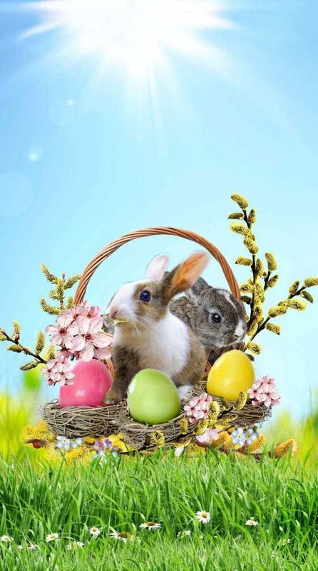 Easter-rabbit.jpg