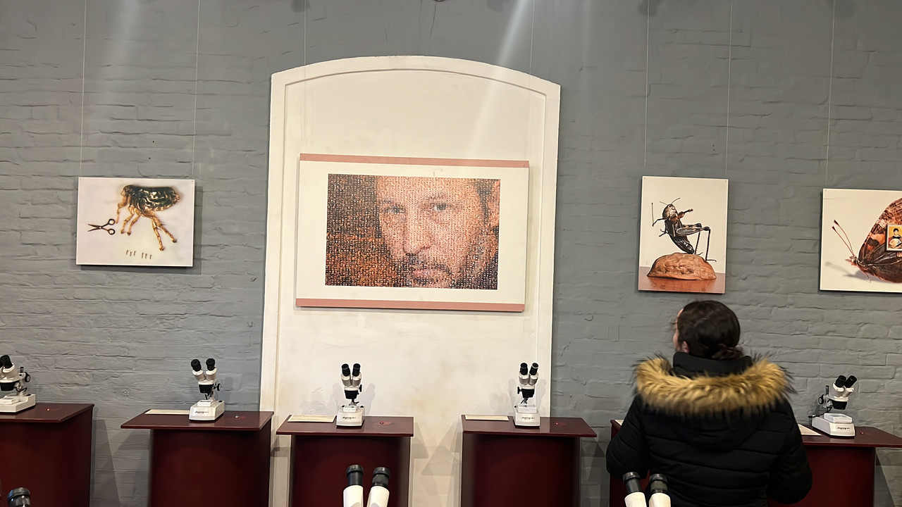 25F78915-0357-47D5-991F-C626771E05E7