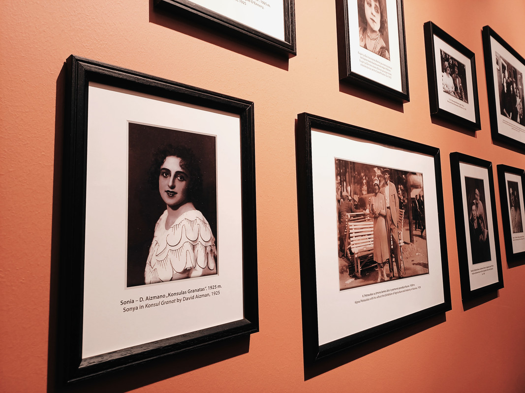 M. ir K. Petrauskų Namai