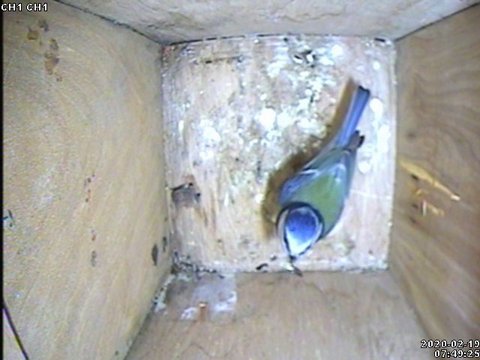 36FFCA1D-7140-4067-8692-C0C37F572842