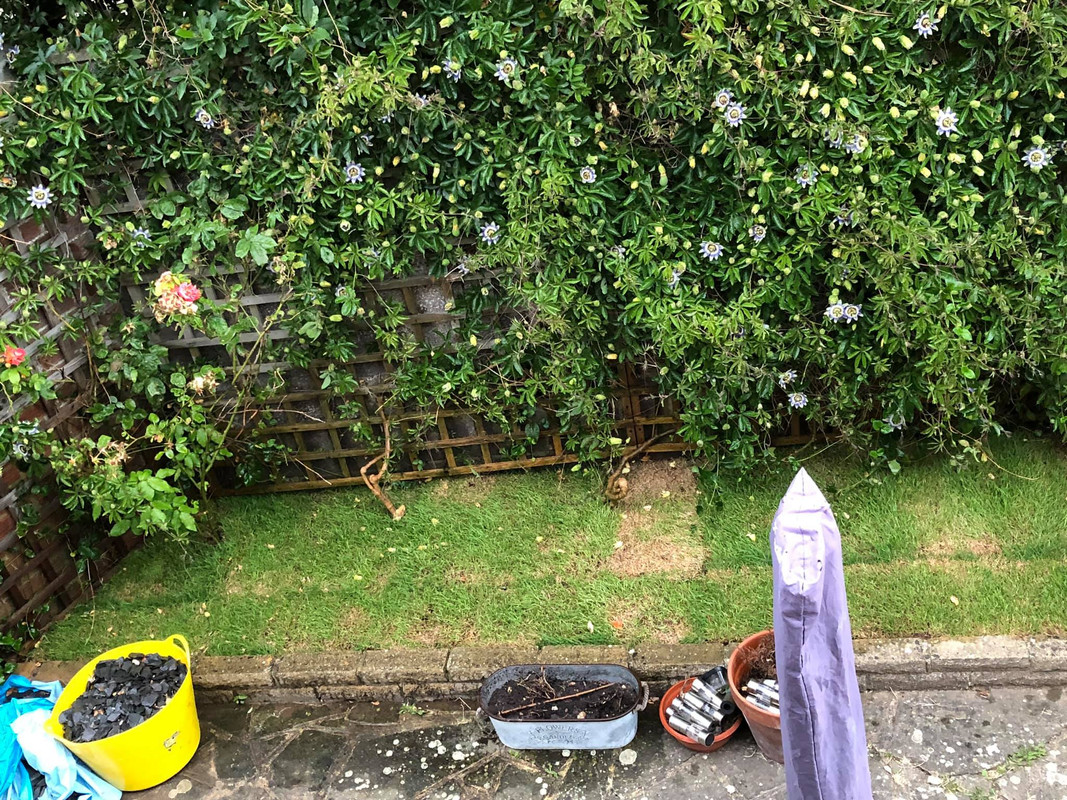 66153178_10157294371717457_6736313121788395520_o