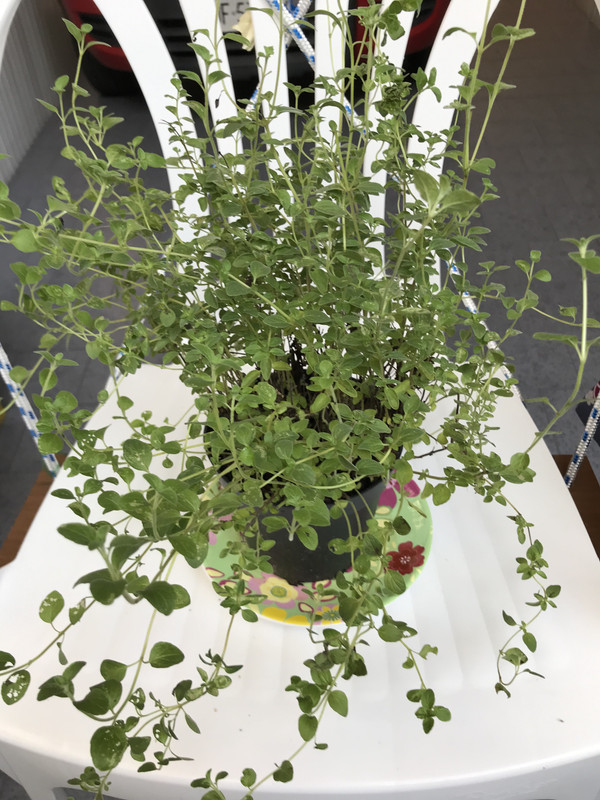 E777BF3A-E74C-432B-87A8-FE1DC05E52C2