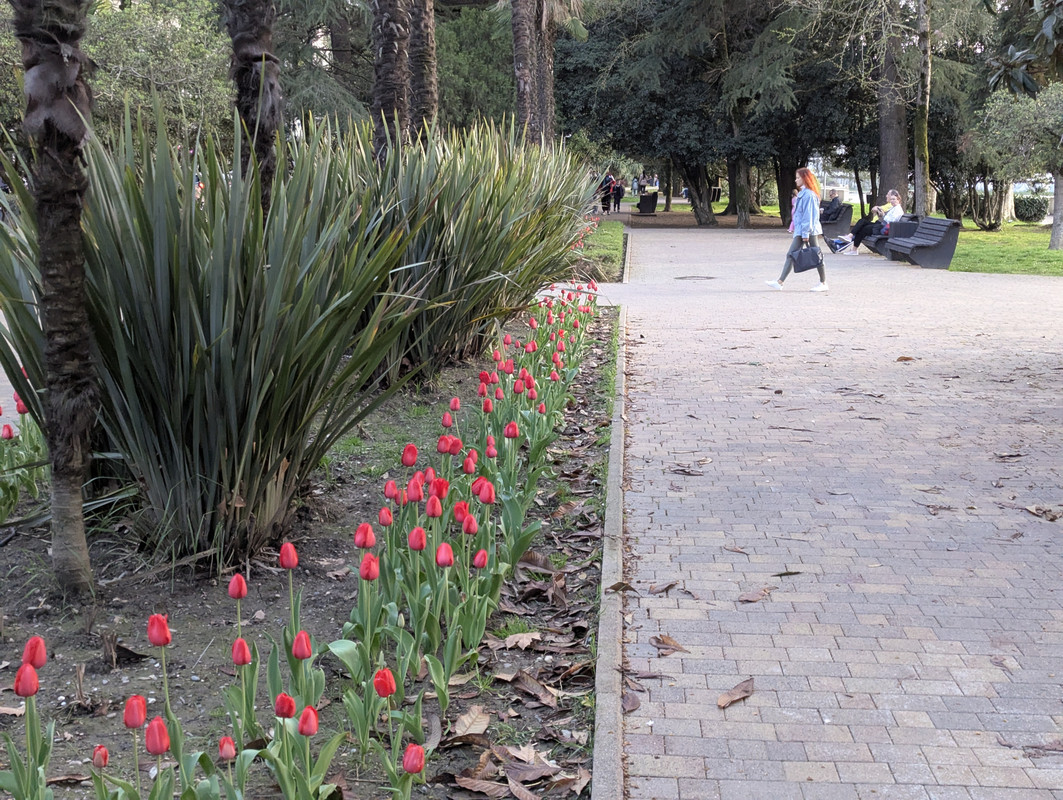 .trashed-1746115204-PXL_20250401_152252131