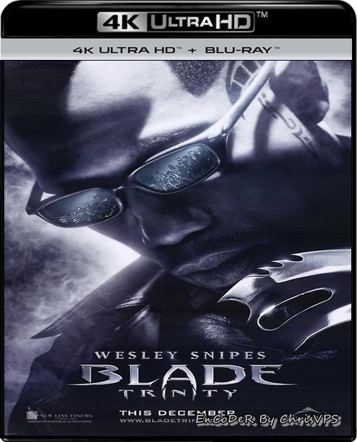 Blade: Mroczna Trójca / Blade: Trinity (2004) MULTI.HDR.2160p.WEB.DL.DDP-ChrisVPS / LEKTOR i NAPISY