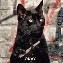 waiting-cat-filing-nail.gif