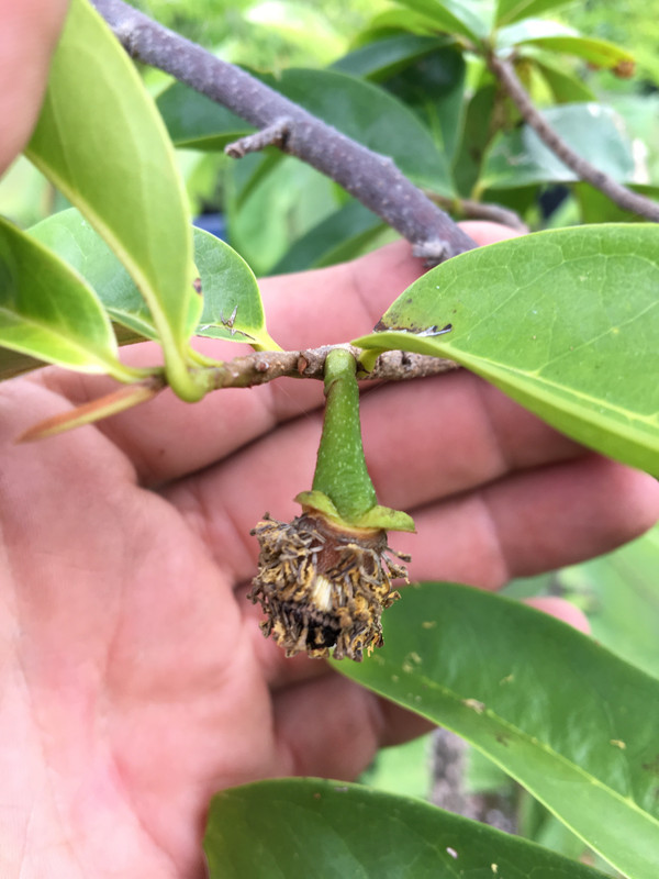 5DA5FAD6-AC29-4F86-8258-B64A7F6A0105