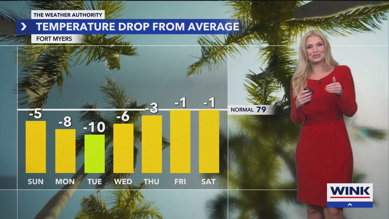 WINK News at 11_20241201_04000500.ts_snapshot_00.44.08.542
