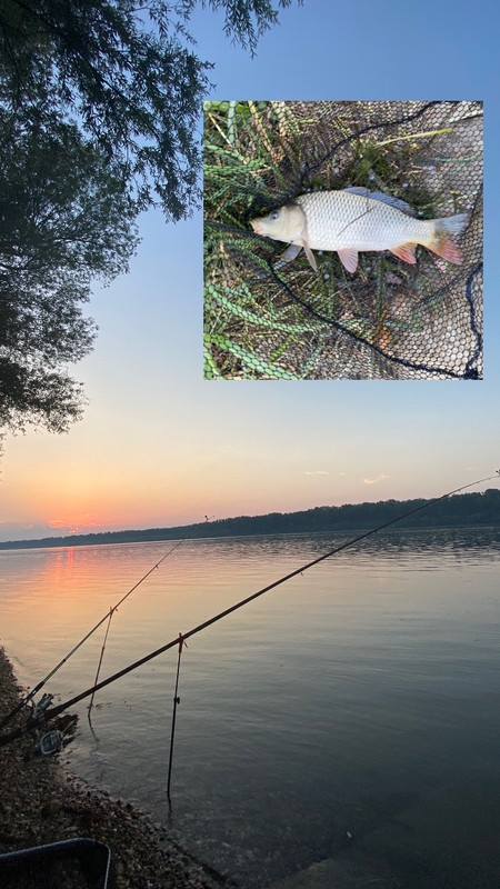 F081D8F8-5B7F-4A51-9EC7-6913D50CC3B7