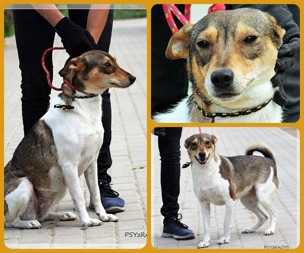 BeFunky-collage (15)