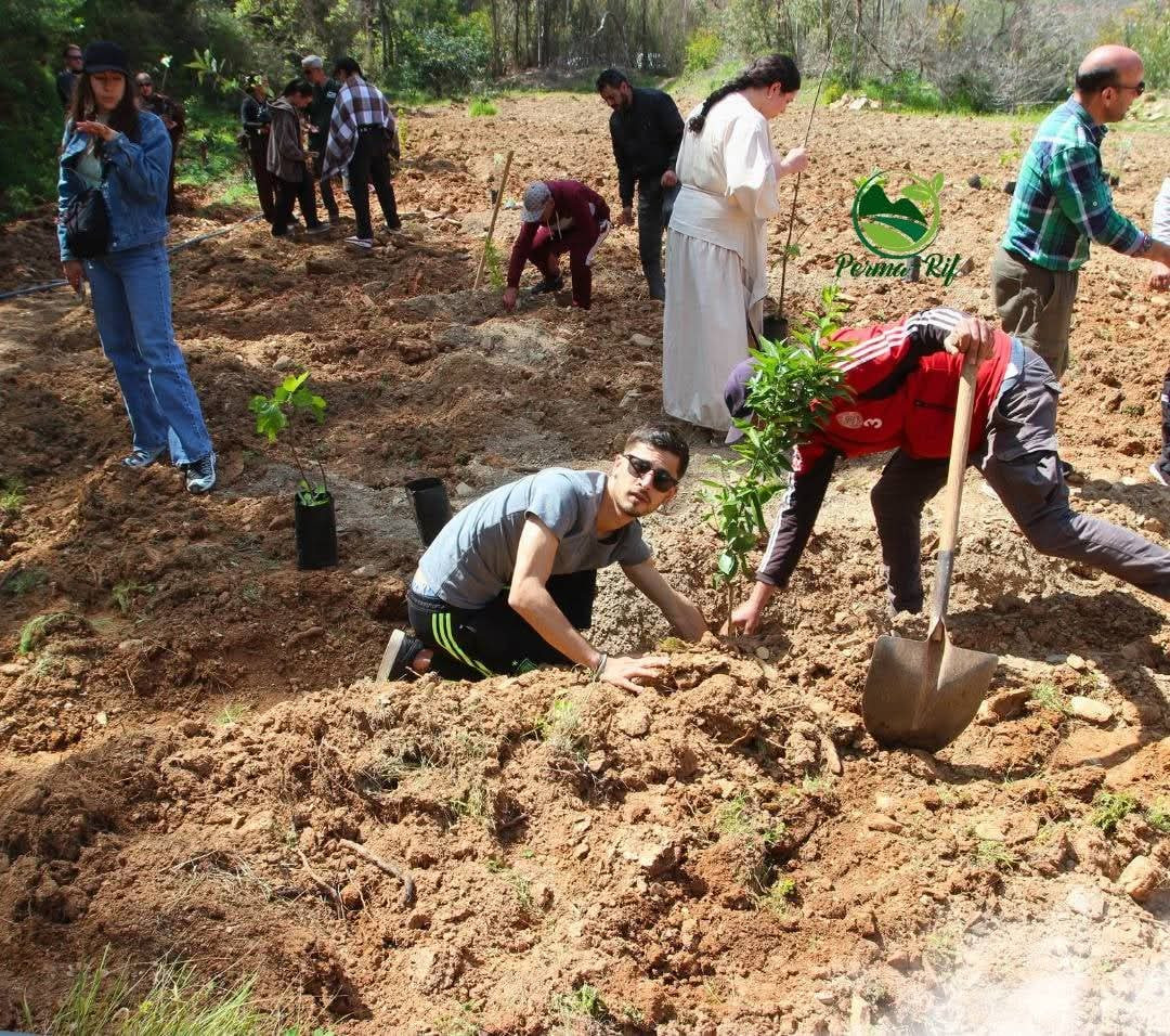 ebcdde162fdbc69db7694ab98d8ed144