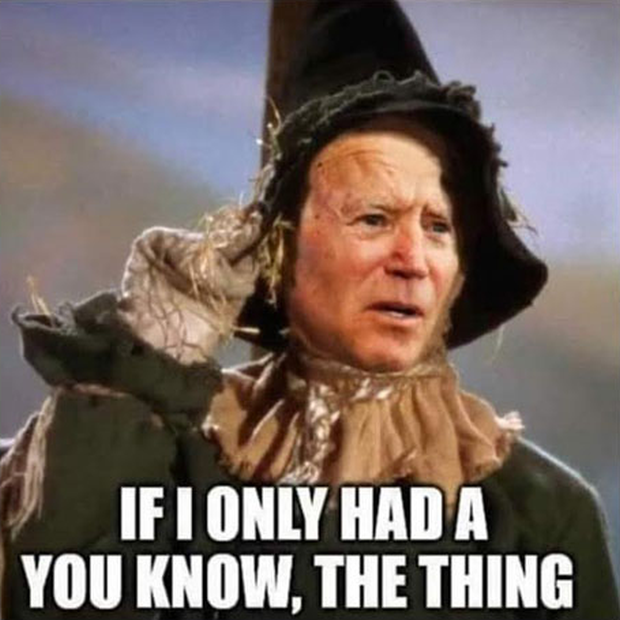 biden-if-I-only-had-a-brain-scarecrow.pn