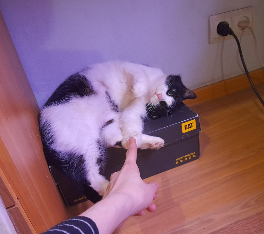 IMG-c70a26f294612bab47906b16e414e9e3-V-1