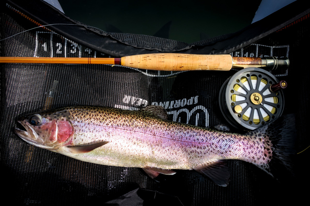 Chopaka Sept 2019 (1)