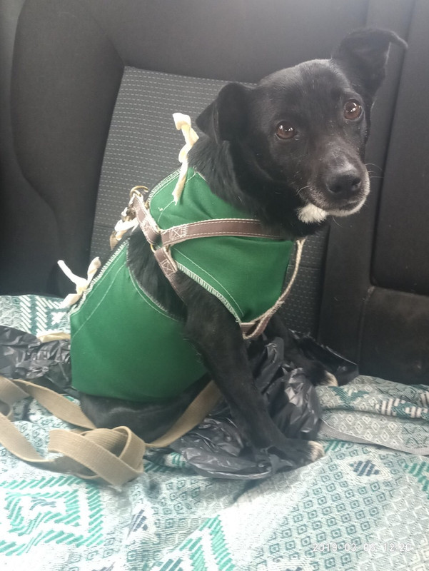 BDCAF413-8A86-4918-996A-18A6E84A0DAF