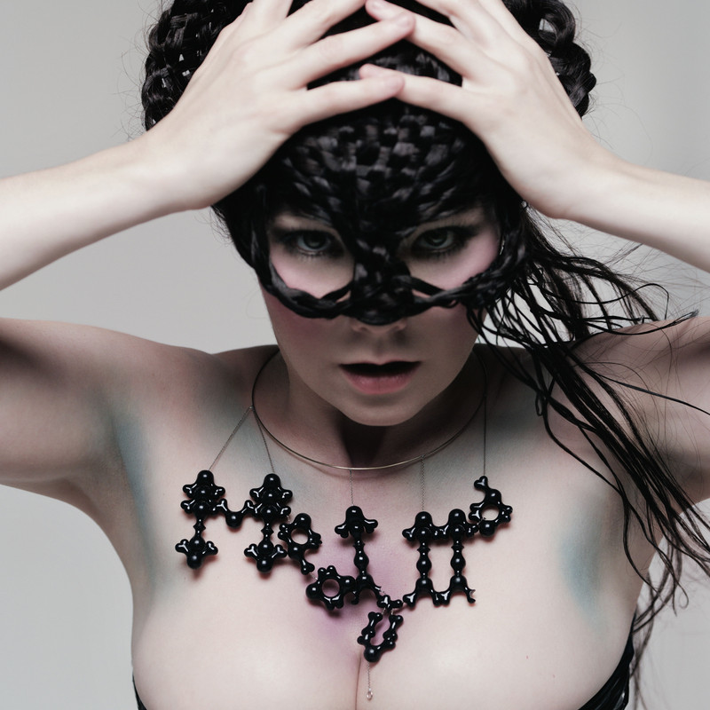 bjork-2004-medulla.jpg