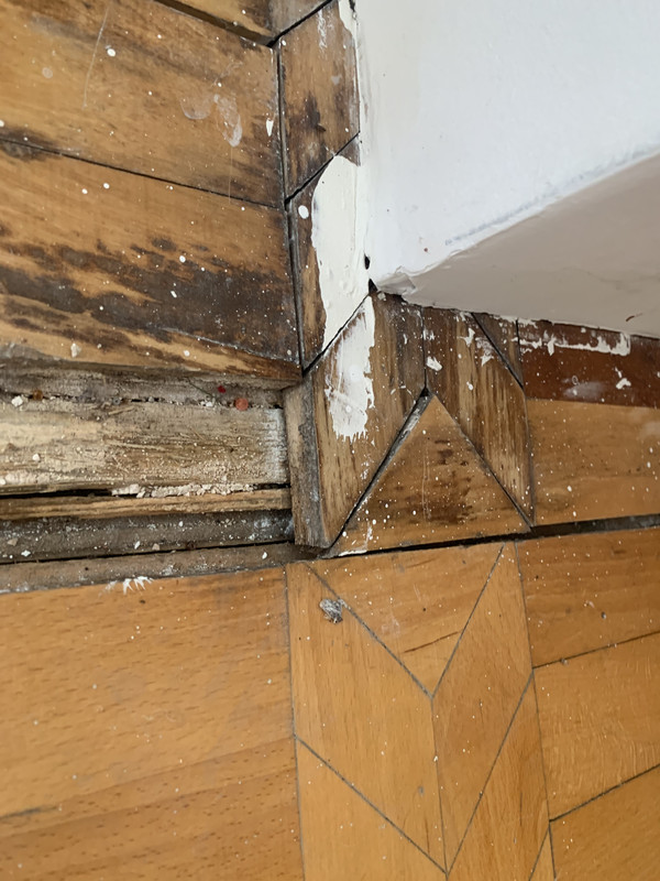 20402AA6-FD34-4974-8242-91026BD4663D