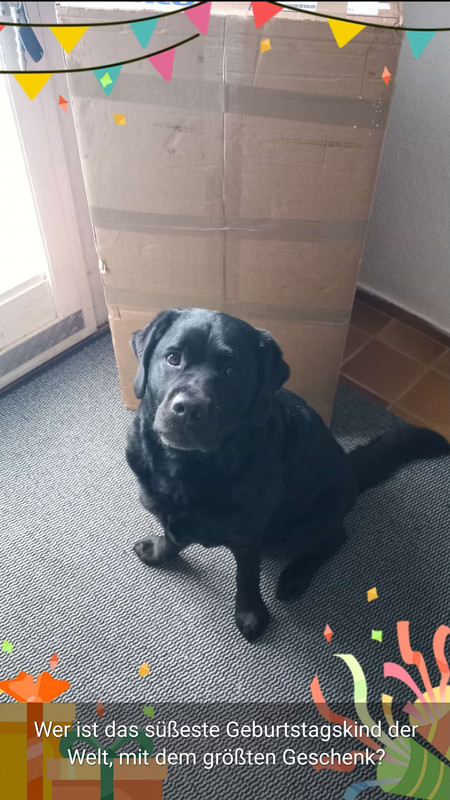 Screenshot 20260213 191722 Whats App