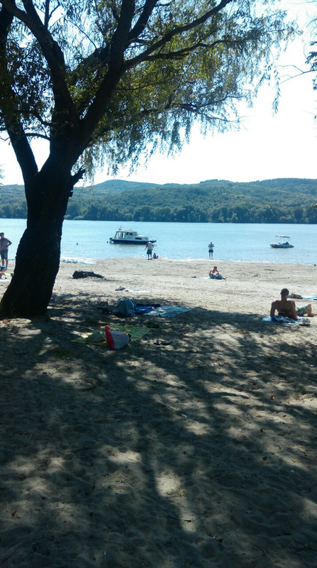 Slika